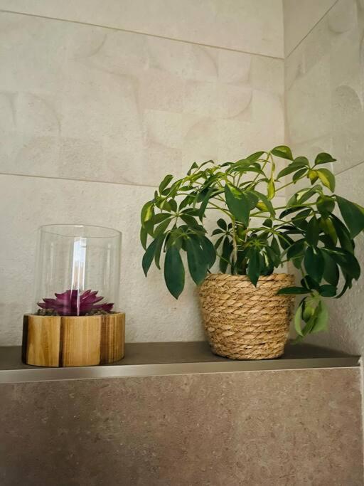 Sparrow Apartmens - Vrabcia Ulica 9, コシツェ エクステリア 写真
